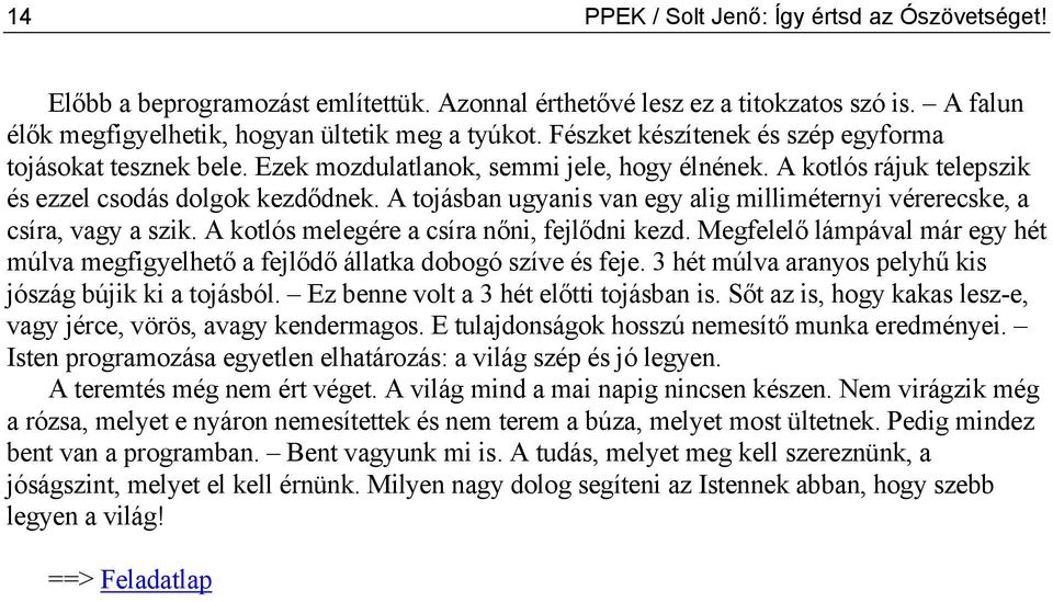 A tojásban ugyanis van egy alig milliméternyi vérerecske, a csíra, vagy a szik. A kotlós melegére a csíra nőni, fejlődni kezd.