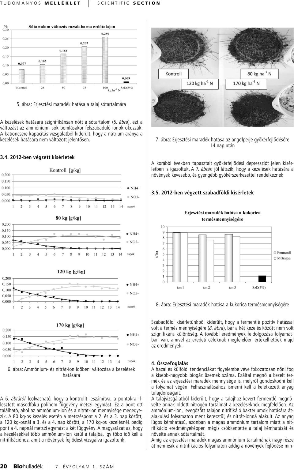 2012-ben végzett kísérletek 7. ábra: Erjesztési maradék hatása az angolperje gyökérfejlődésére 14 nap után A korábbi években tapasztalt gyökérfejlődési depressziót jelen kísérletben is igazoltuk. A 7.