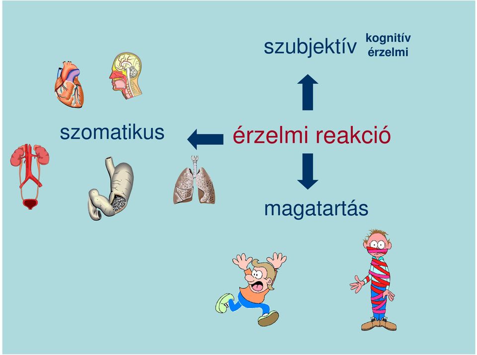 szomatikus