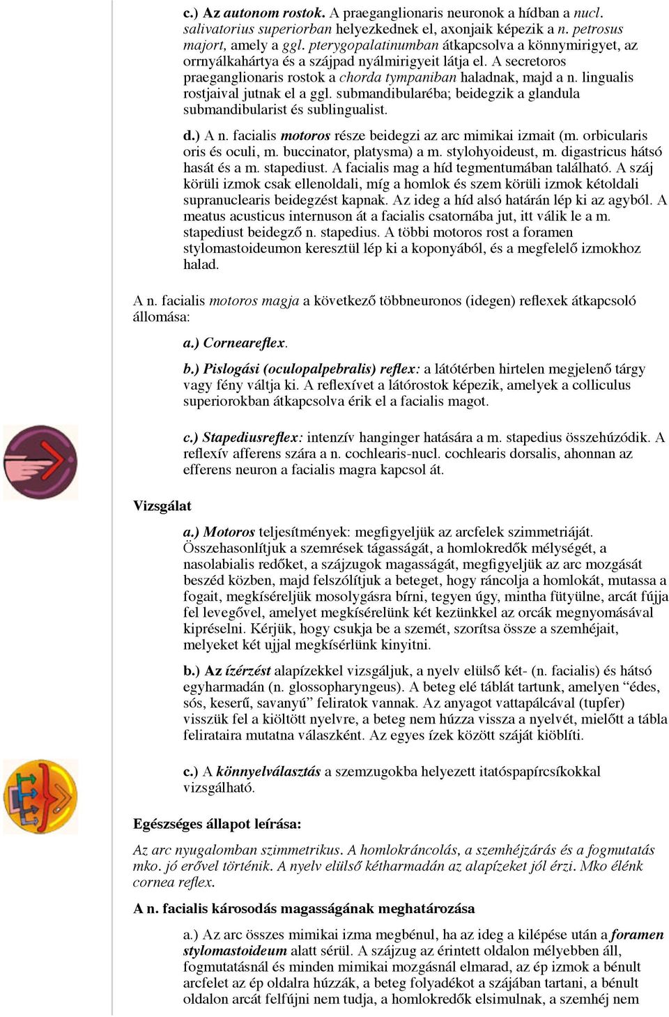 lingualis rostjaival jutnak el a ggl. submandibularéba; beidegzik a glandula submandibularist és sublingualist. d.) A n. facialis motoros része beidegzi az arc mimikai izmait (m.