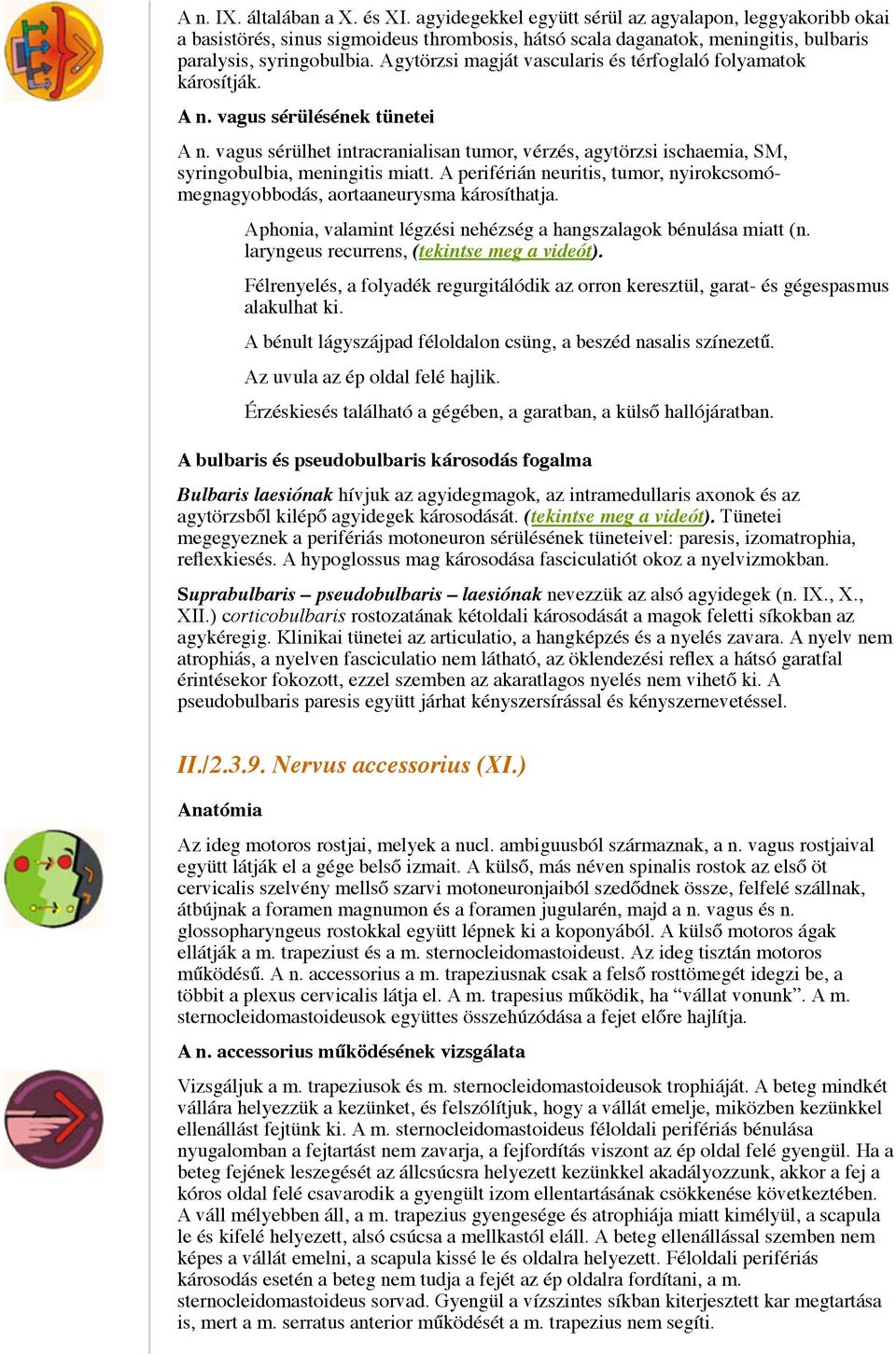 Agytörzsi magját vascularis és térfoglaló folyamatok károsítják. A n. vagus sérülésének tünetei A n.