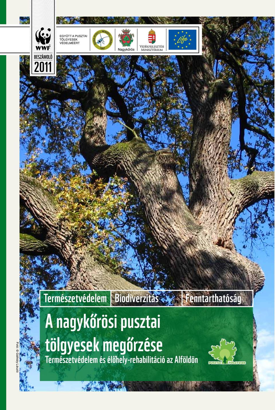 A nagykőrösi pusztai Fotó: Gálhidy László tölgyesek