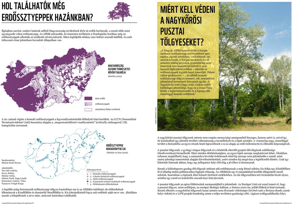 Mára legfeljebb néhány ezer hektár maradt belőlük, és ezek túlnyomó része jelentősen leromlott állapotban van.