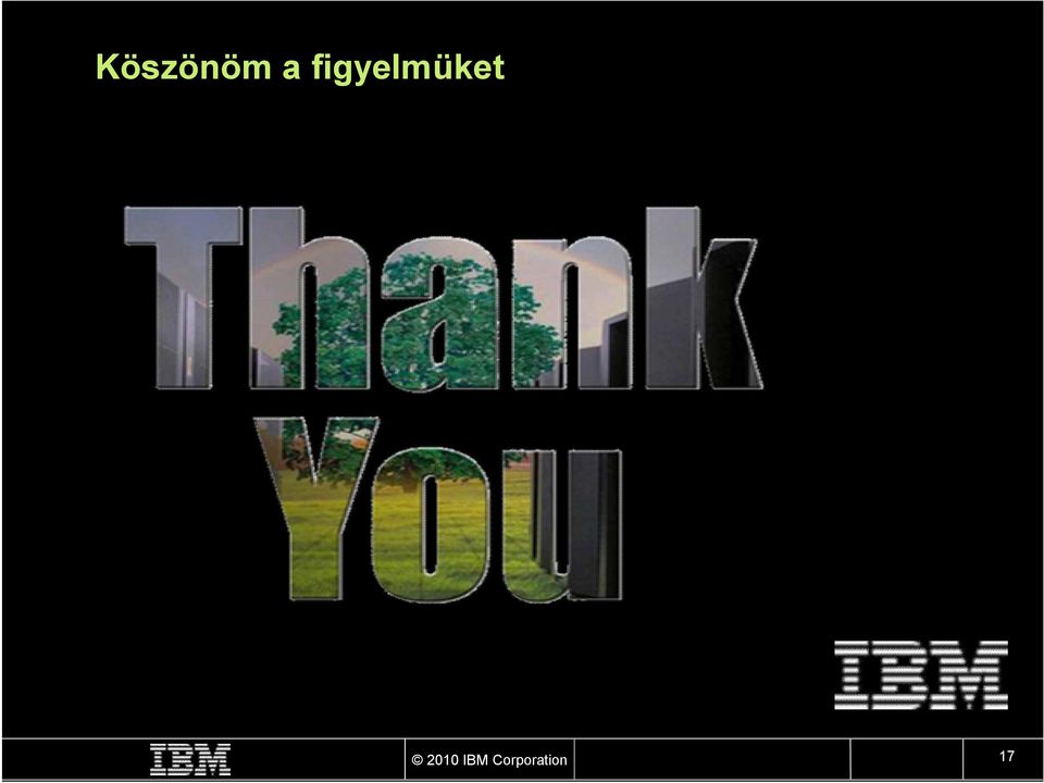 2010 IBM