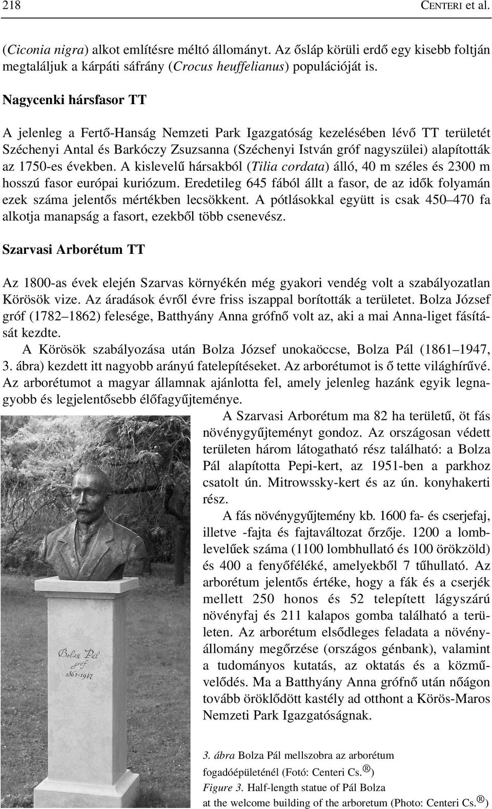 években. A kislevelû hársakból (Tilia cordata) álló, 40 m széles és 2300 m hosszú fasor európai kuriózum.