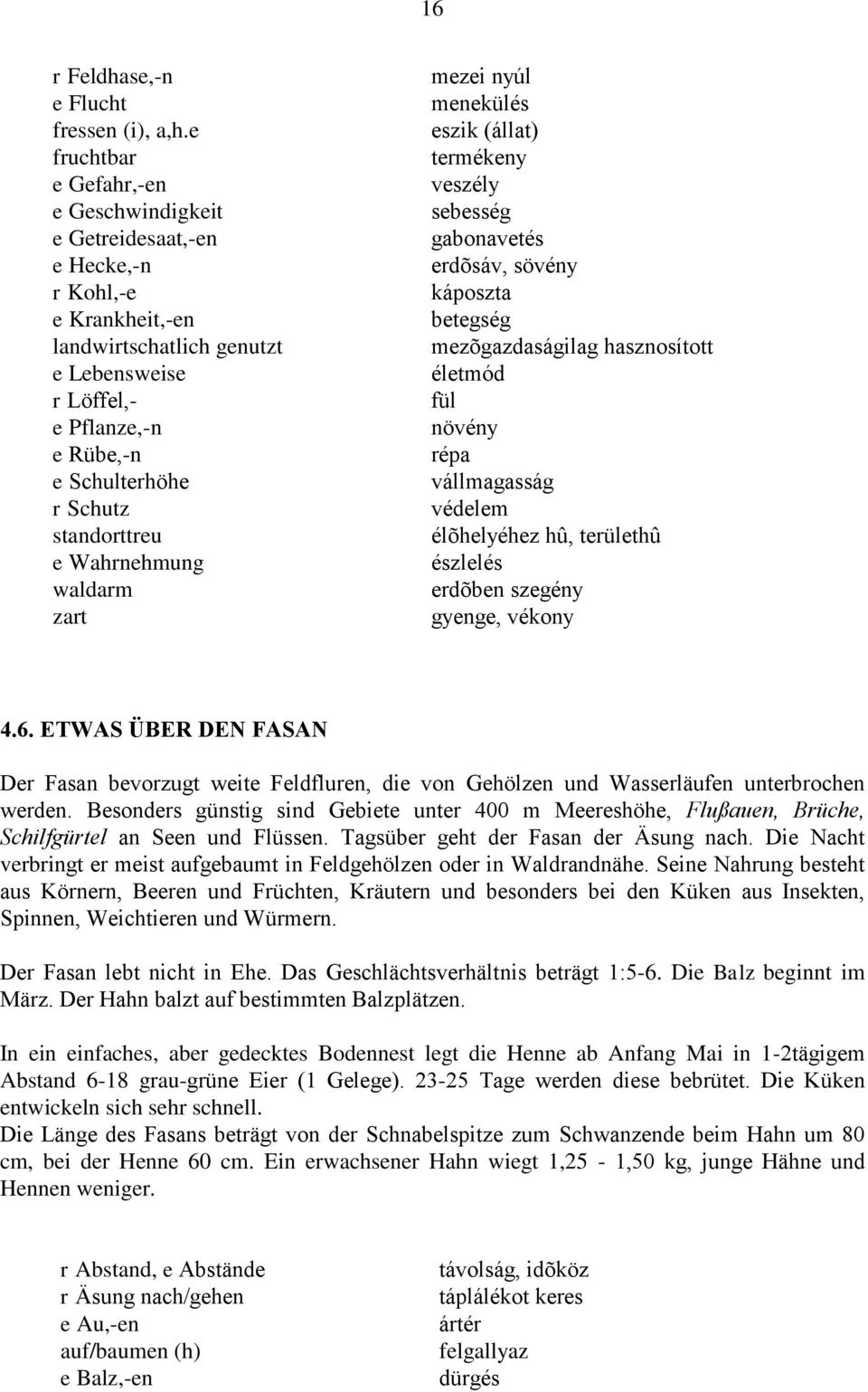 standorttreu e Wahrnehmung waldarm zart mezei nyúl menekülés eszik (állat) termékeny veszély sebesség gabonavetés erdõsáv, sövény káposzta betegség mezõgazdaságilag hasznosított életmód fül növény