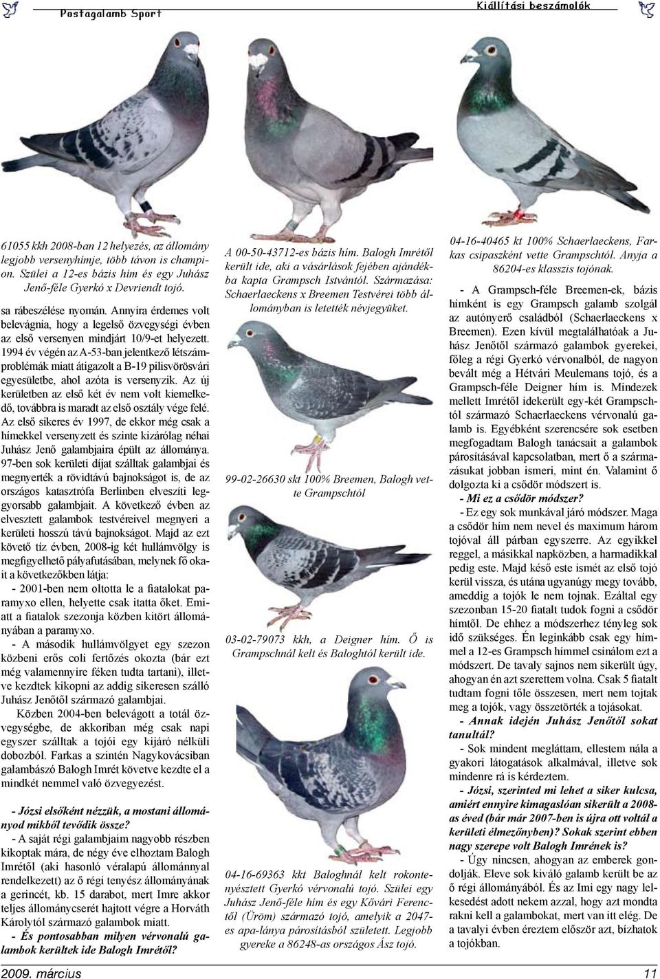 1994 év végén az A-53-ban jelentkező létszámproblémák miatt átigazolt a B-19 pilisvörösvári egyesületbe, ahol azóta is versenyzik.