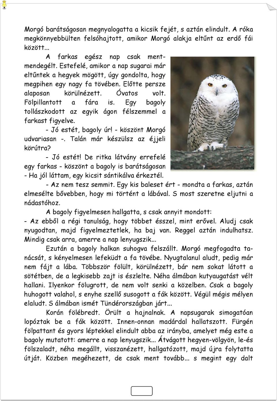 Egy bagoly tollászkodott az egyik ágon félszemmel a farkast figyelve. - Jó estét,