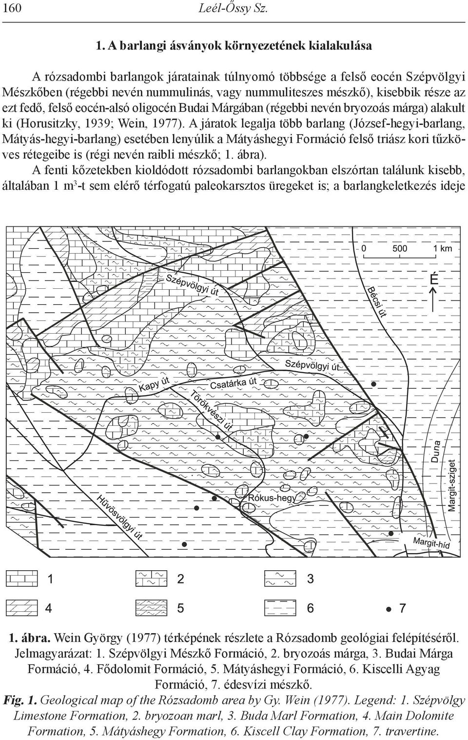 része az ezt fedő, felső eocén-alsó oligocén Budai Márgában (régebbi nevén bryozoás márga) alakult ki (Horusitzky, 1939; Wein, 1977).