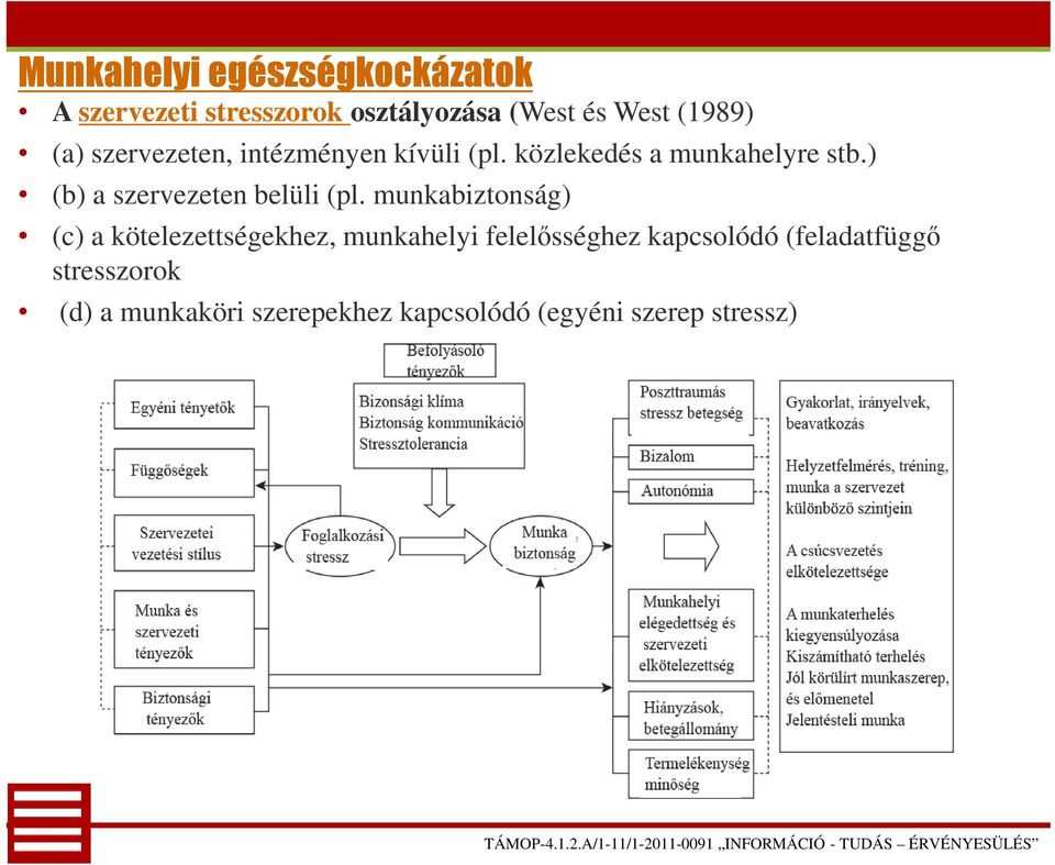 ) (b) a szervezeten belüli (pl.