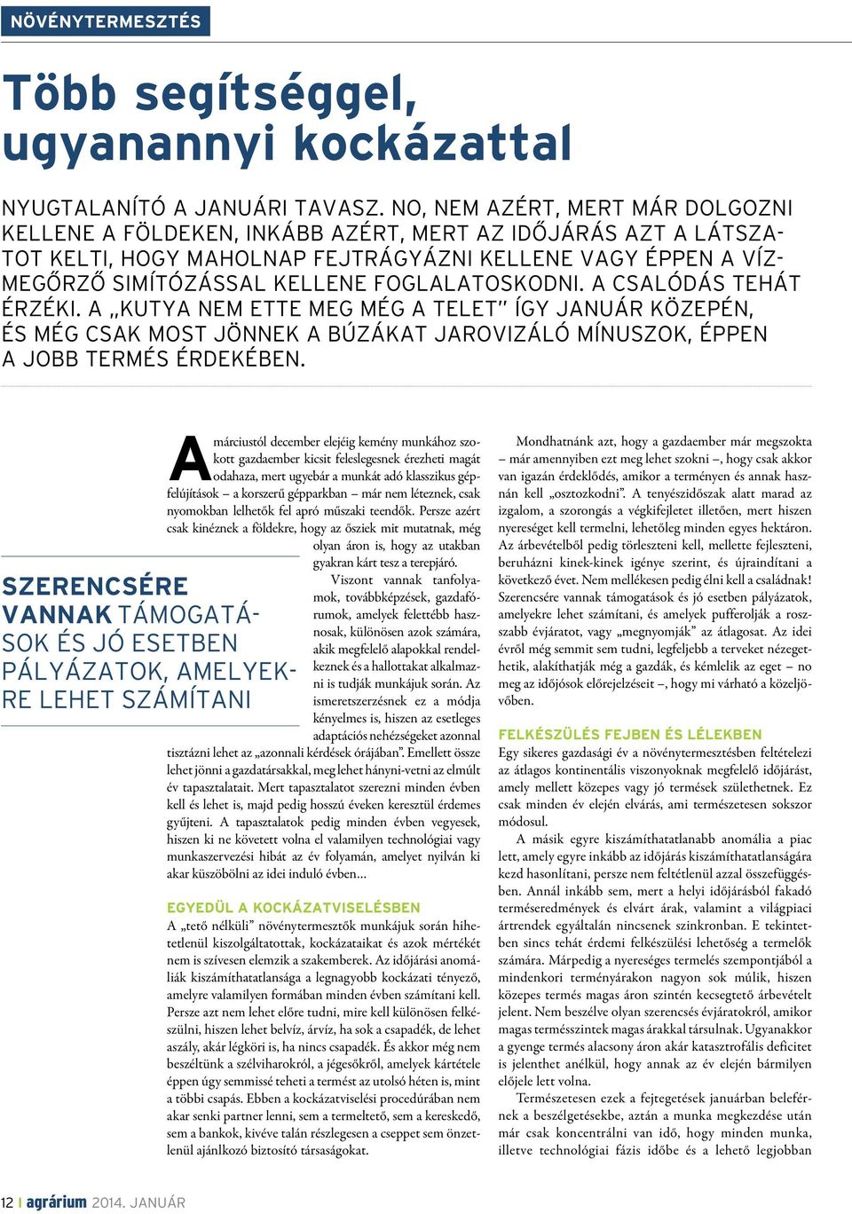 foglalatoskodni. A csalódás tehát érzéki. A kutya nem ette meg még a telet így január közepén, és még csak most jönnek a búzákat jarovizáló mínuszok, éppen a jobb termés érdekében.