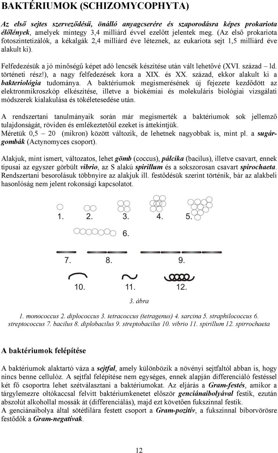 Felfedezésük a jó minőségű képet adó lencsék készítése után vált lehetővé (XVI. század ld. történeti rész!), a nagy felfedezések kora a XIX. és XX. század, ekkor alakult ki a bakteriológia tudománya.