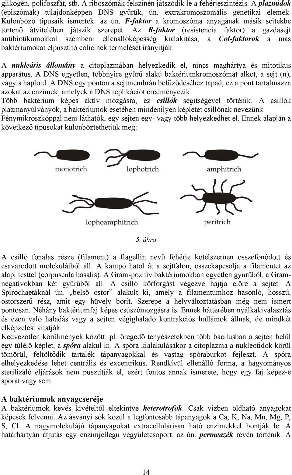 Az R-faktor (resistencia faktor) a gazdasejt antibiotikumokkal szembeni ellenállóképesség kialakítása, a Col-faktorok a más baktériumokat elpusztító colicinek termelését irányítják.