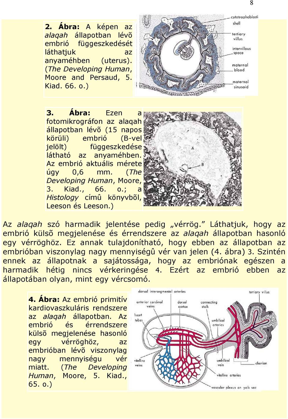 (The Developing Human, Moore, 3. Kiad., 66. o.; a Histology címû könyvbõl, Leeson és Leeson.) Az alaqah szó harmadik jelentése pedig vérrög.