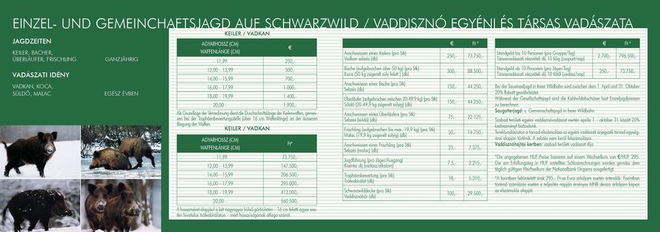 900,- Als Grundlage der Verrechnung dient die Durchschnittslänge der Keilerwaffen, gemessen bei der Trophäenbewertungsstelle (über 16 cm Waffenlänge) an der äusseren Biegung der Waffen.