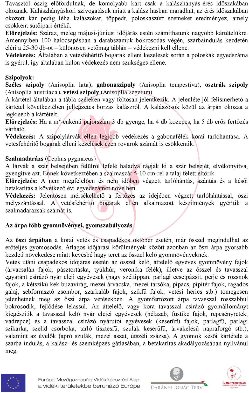 hálócsapásban a darabszámuk bokrosodás végén, szárbaindulás kezdetén eléri a 25-30 db-ot különösen vetőmag táblán védekezni kell ellene Védekezés: Általában a vetésfehérítő bogarak elleni kezelések