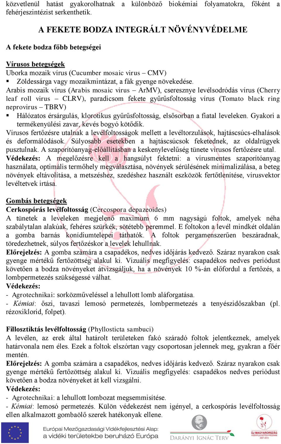 roll virus CLRV), paradicsom fekete gyűrűsfoltosság vírus (Tomato black ring neprovirus TBRV) Hálózatos érsárgulás, klorotikus gyűrűsfoltosság, elsősorban a fiatal leveleken Gyakori a termékenyülési