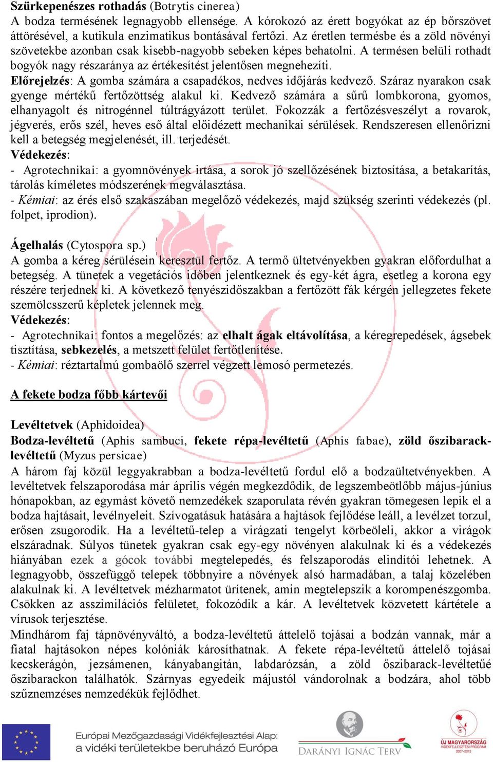 számára a csapadékos, nedves időjárás kedvező Száraz nyarakon csak gyenge mértékű fertőzöttség alakul ki Kedvező számára a sűrű lombkorona, gyomos, elhanyagolt és nitrogénnel túltrágyázott terület