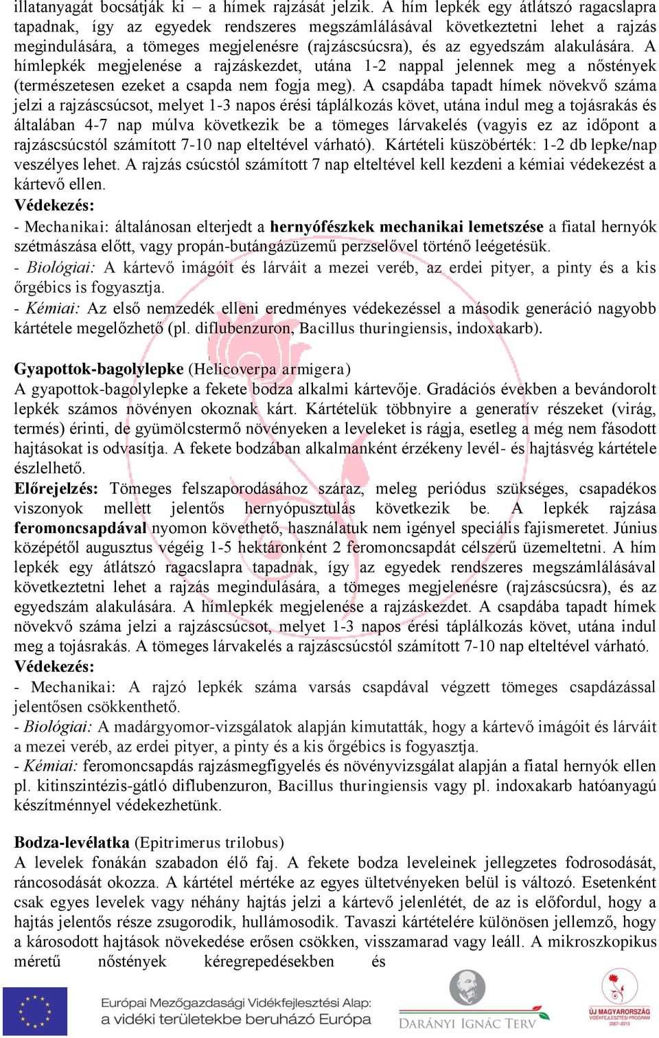 tapadt hímek növekvő száma jelzi a rajzáscsúcsot, melyet 1-3 napos érési táplálkozás követ, utána indul meg a tojásrakás és általában 4-7 nap múlva következik be a tömeges lárvakelés (vagyis ez az