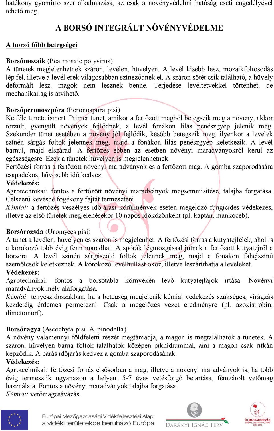 nem lesznek benne Terjedése levéltetvekkel történhet, de mechanikailag is átvihető Borsóperonoszpóra (Peronospora pisi) Kétféle tünete ismert Primer tünet, amikor a fertőzött magból betegszik meg a