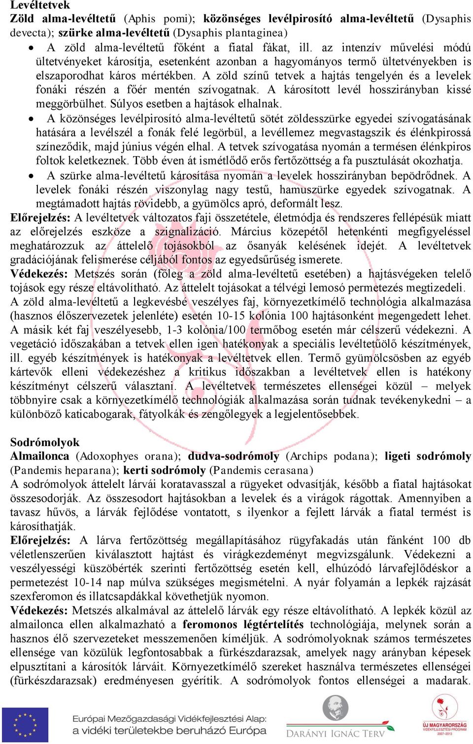 részén a főér mentén szívogatnak A károsított levél hosszirányban kissé meggörbülhet Súlyos esetben a hajtások elhalnak A közönséges levélpirosító alma-levéltetű sötét zöldesszürke egyedei