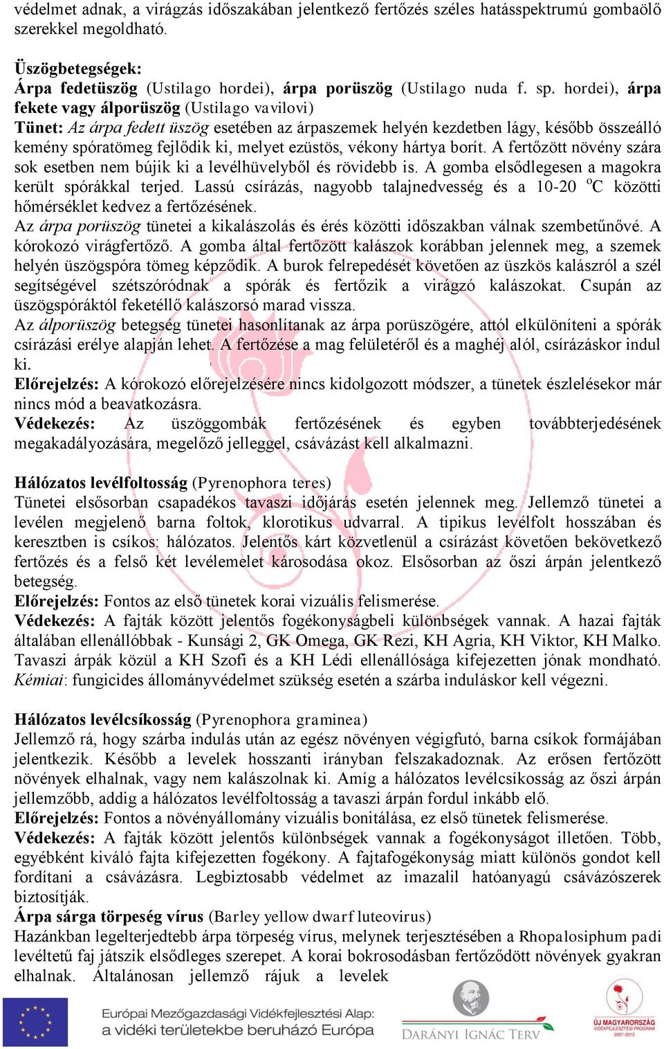 vékony hártya borít A fertőzött növény szára sok esetben nem bújik ki a levélhüvelyből és rövidebb is A gomba elsődlegesen a magokra került spórákkal terjed Lassú csírázás, nagyobb talajnedvesség és