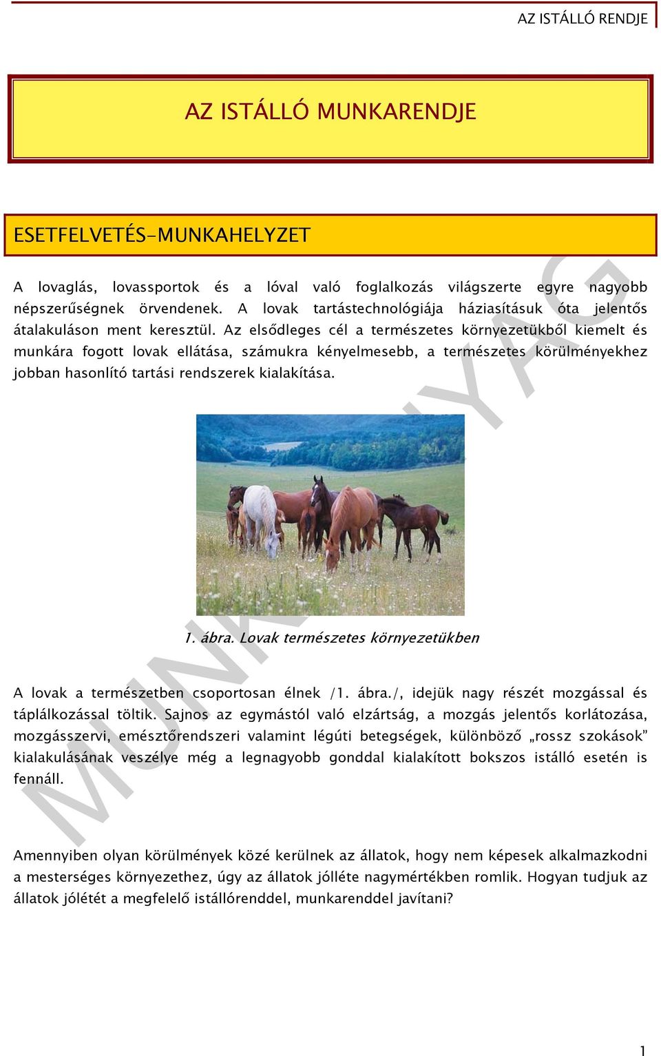 Az elsődleges cél a természetes környezetükből kiemelt és munkára fogott lovak ellátása, számukra kényelmesebb, a természetes körülményekhez jobban hasonlító tartási rendszerek kialakítása. 1. ábra.