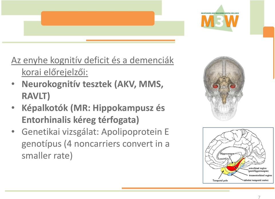 Hippokampusz és Entorhinalis kéreg térfogata) Genetikai