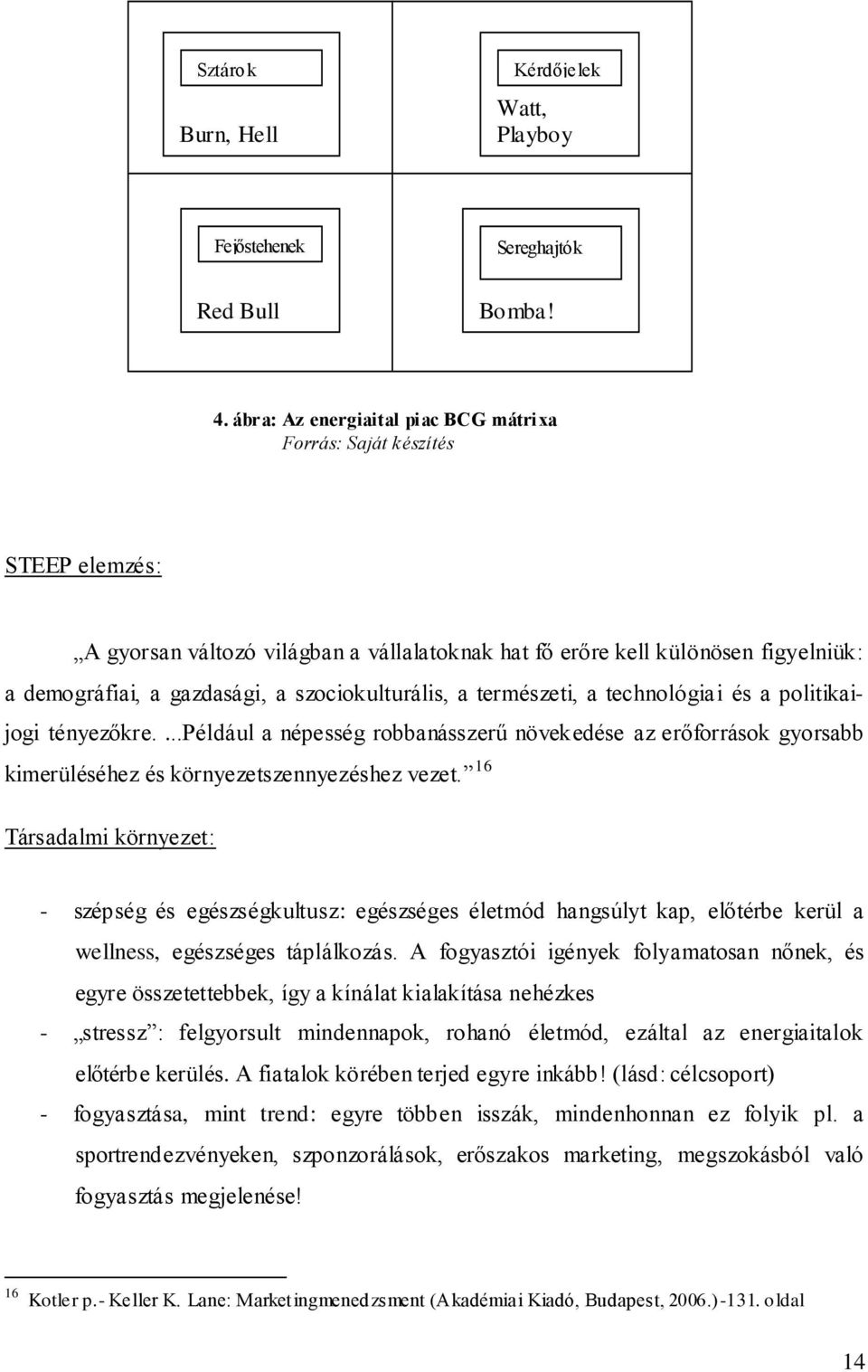 szociokulturális, a természeti, a technológia i és a politikaijogi tényezőkre....például a népesség robbanásszerű növekedése az erőforrások gyorsabb kimerüléséhez és környezetszennyezéshez vezet.