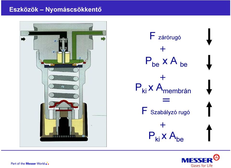 + P ki x A membrán = F