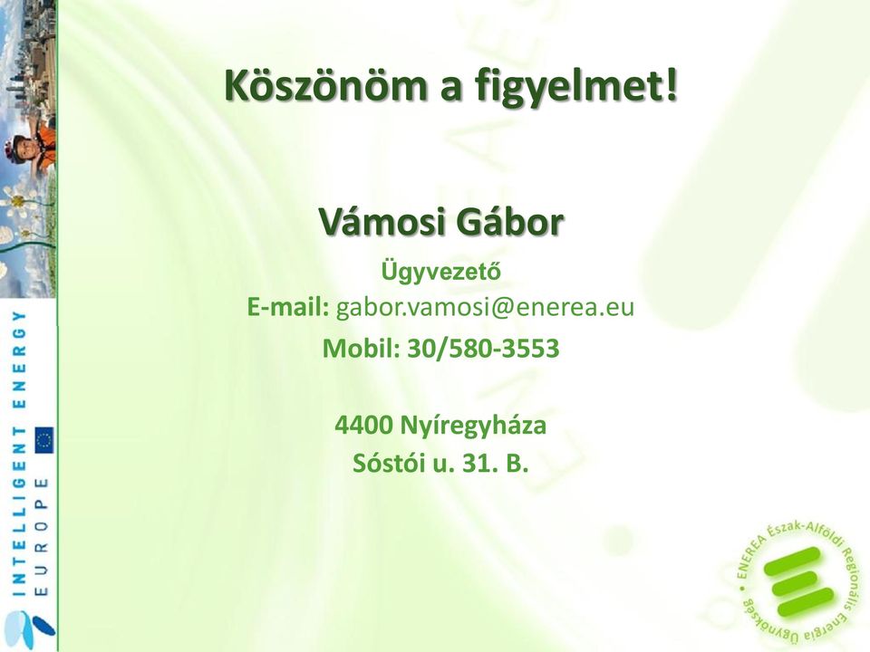 gabor.vamosi@enerea.