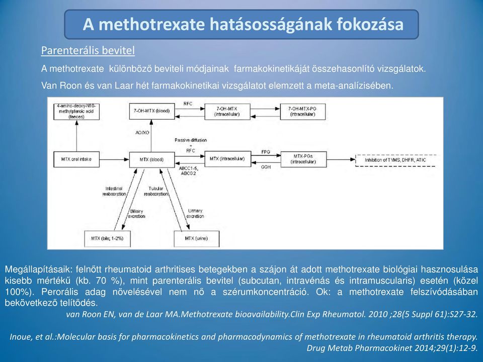 Megállapításaik: felnőtt rheumatoid arthritises betegekben a szájon át adott methotrexate biológiai hasznosulása kisebb mértékű (kb.