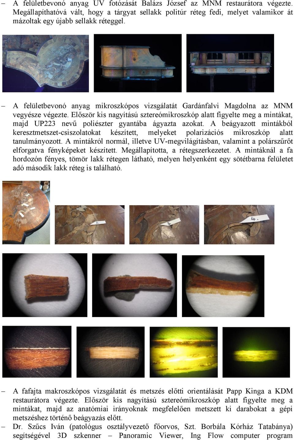 Először kis nagyítású sztereómikroszkóp alatt figyelte meg a mintákat, majd UP223 nevű poliészter gyantába ágyazta azokat.