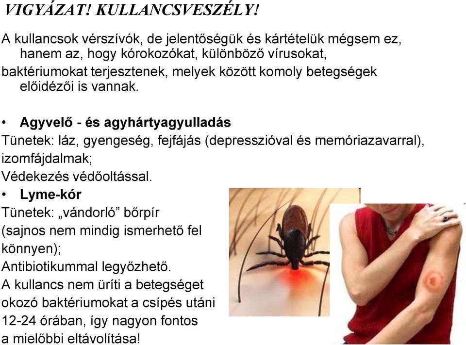 között komoly betegségek előidézői is vannak.