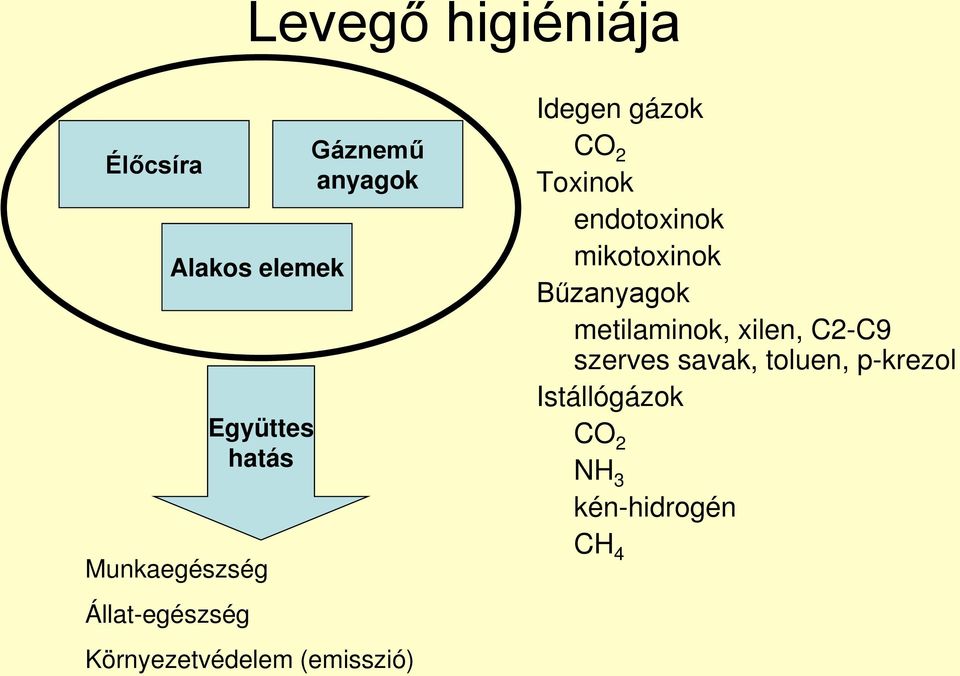 CO 2 Toxinok endotoxinok mikotoxinok Bűzanyagok metilaminok, xilen,