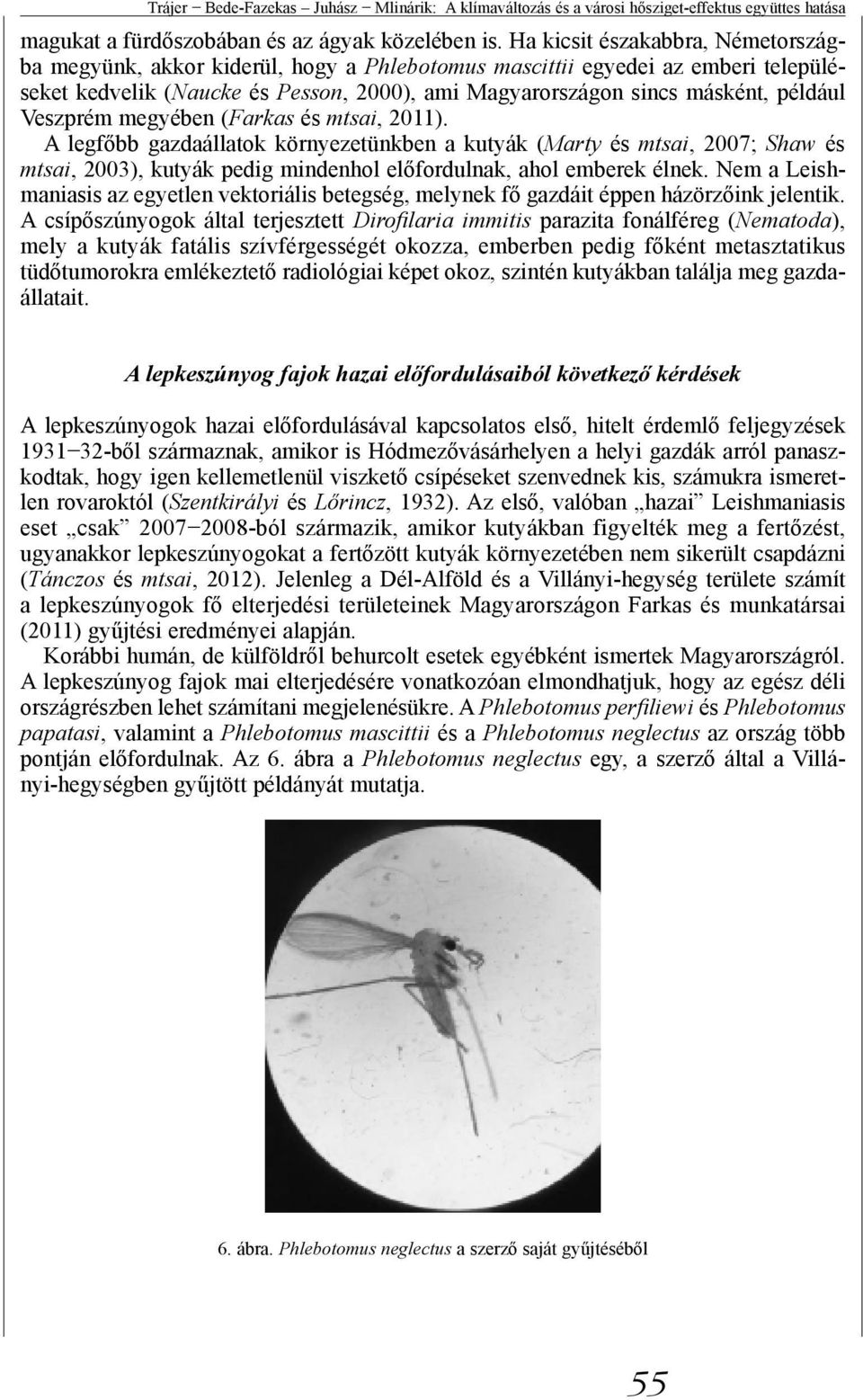 Veszprém megyében (Farkas és mtsai, 2011). A legfőbb gazdaállatok környezetünkben a kutyák (Marty és mtsai, 2007; Shaw és mtsai, 2003), kutyák pedig mindenhol előfordulnak, ahol emberek élnek.