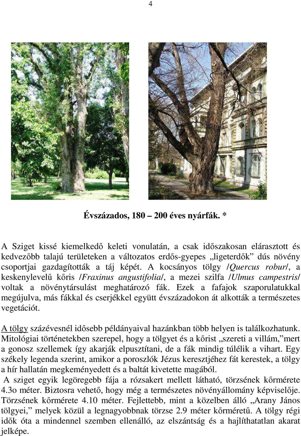 A kocsányos tölgy /Quercus robur/, a keskenylevelű kőris /Fraxinus angustifolia/, a mezei szilfa /Ulmus campestris/ voltak a növénytársulást meghatározó fák.