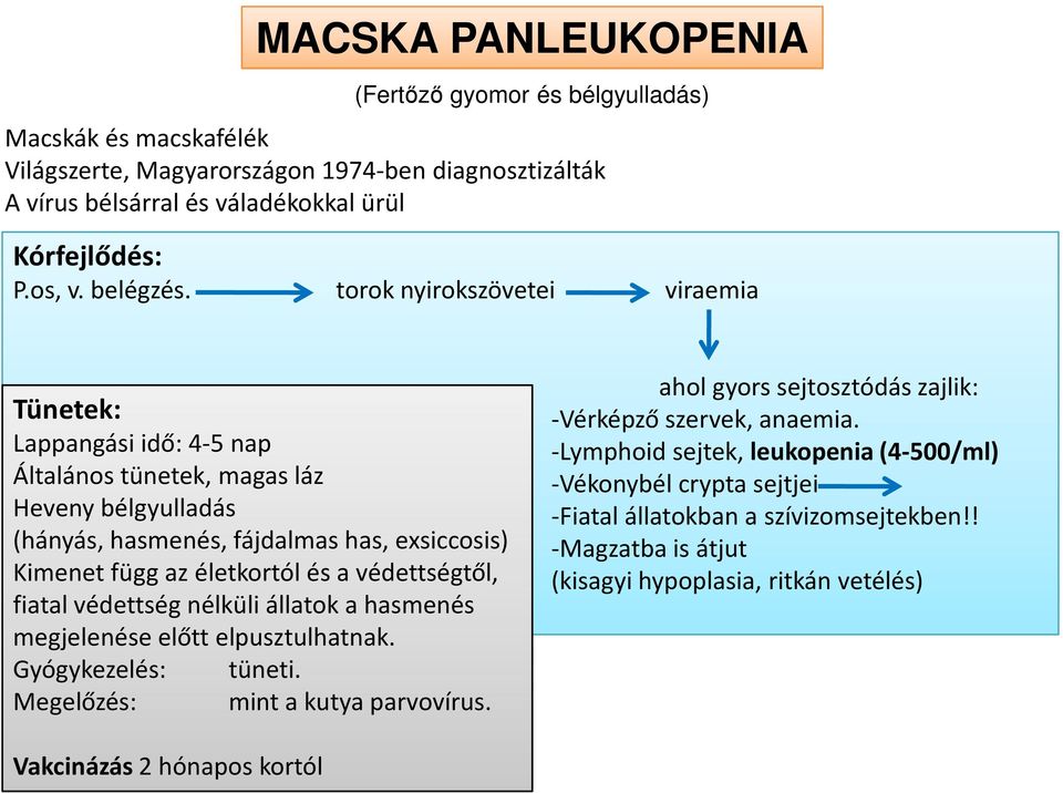 torok nyirokszövetei viraemia Tünetek: Lappangási idő: 4-5 nap Általános tünetek, magas láz Heveny bélgyulladás (hányás, hasmenés, fájdalmas has, exsiccosis) Kimenet függ az életkortól és a