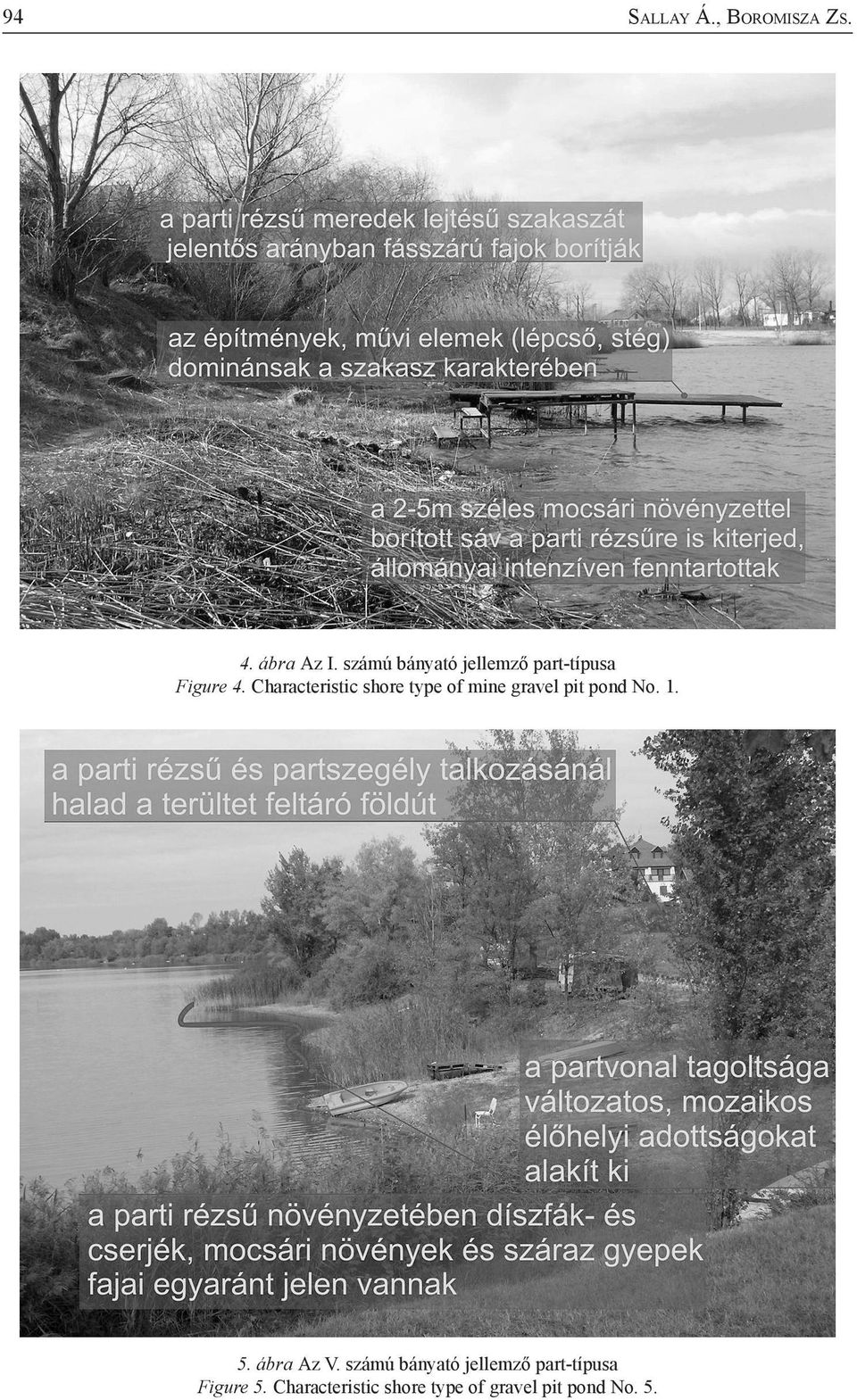 Characteristic shore type of mine gravel pit pond No. 1. 5.