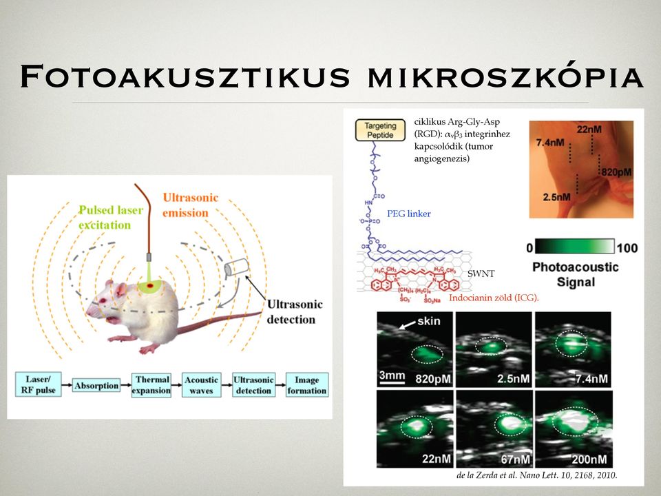 angiogenezis) PEG linker SWNT Indocianin zöld