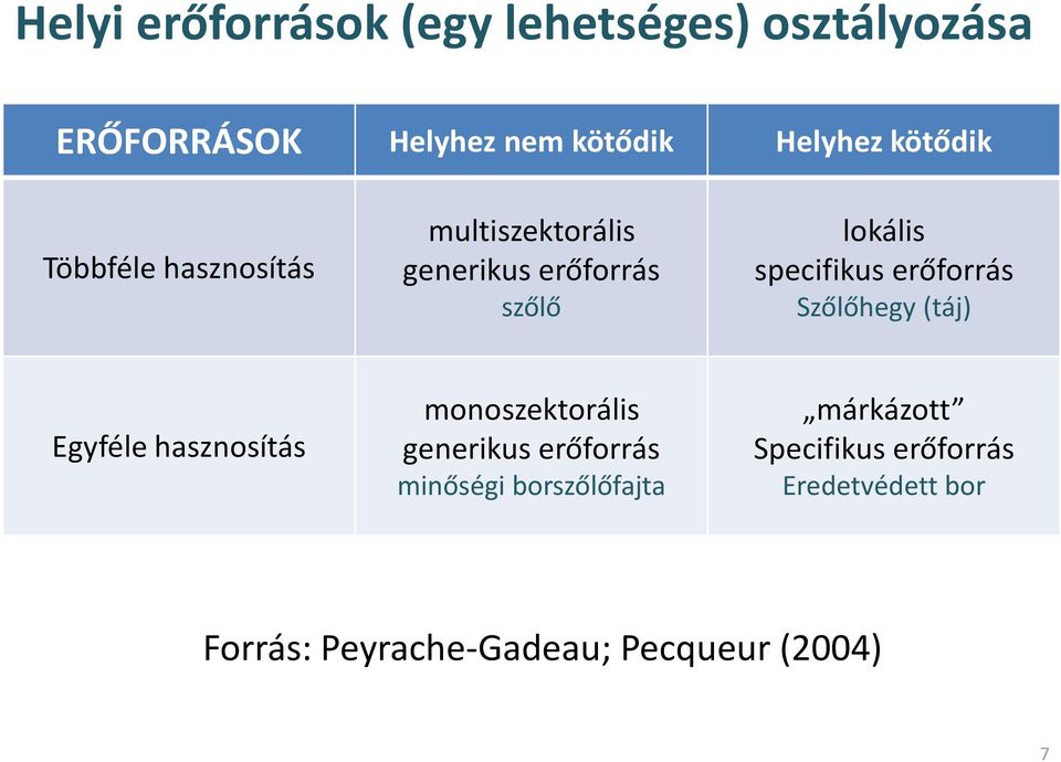 erőforrás Szőlőhegy (táj) Egyféle hasznosítás monoszektorális generikus erőforrás minőségi