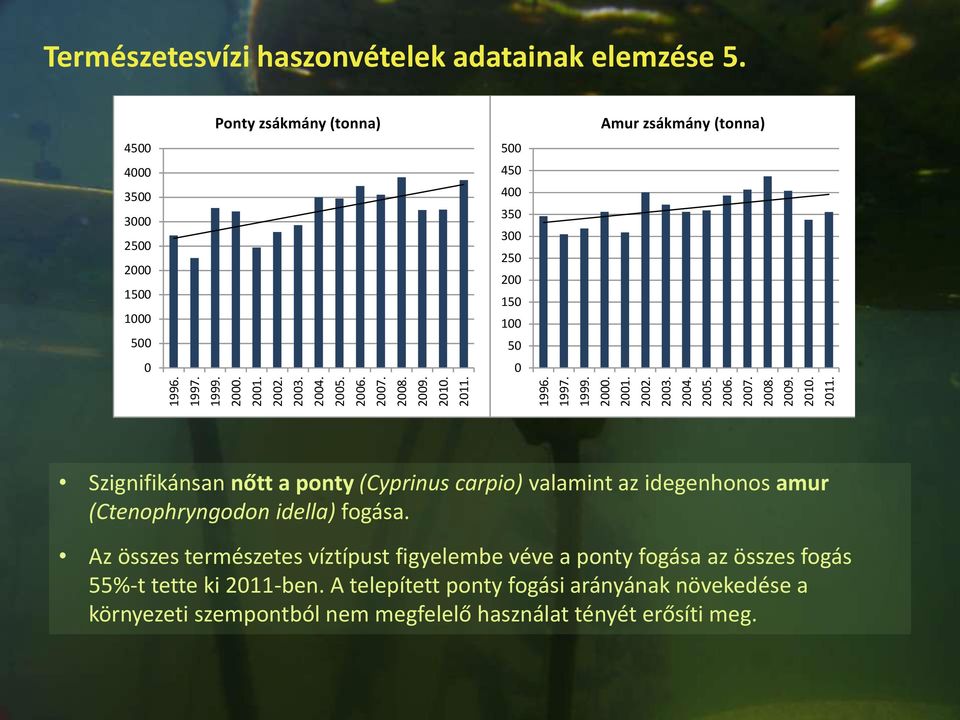 carpio) valamint az idegenhonos amur (Ctenophryngodon idella) fogása. Az összes természetes víztípust figyelembe véve a ponty fogása az összes fogás 55%-t tette ki 2011-ben.