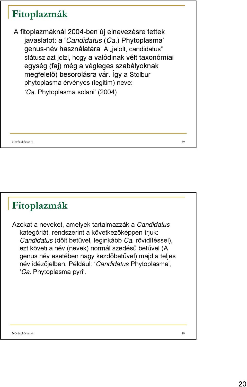 Így a Stolbur phytoplasma érvényes (legitim) neve: Ca. Phytoplasma solani (2004) Növénykórtan 4.