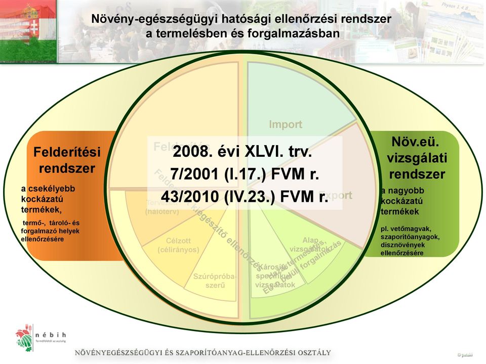 Tervezett t k (hálóterv) ie Célzott (célirányos) gé s zí tő el le Szúrópróbaszerű nő r Alap s, té azás vizsgálatok.