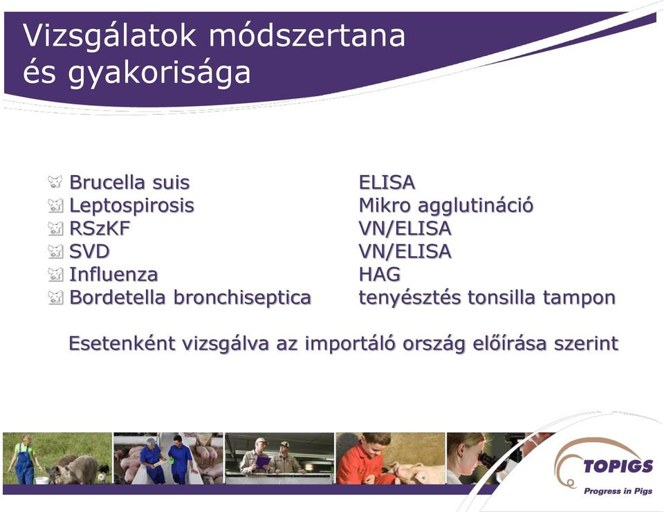 ELISA Mikro agglutináció VN/ELISA VN/ELISA HAG tenyésztés