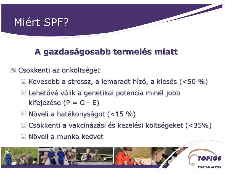 stressz, a lemaradt hízó, a kiesés (<50 %) Lehetővé válik a genetikai