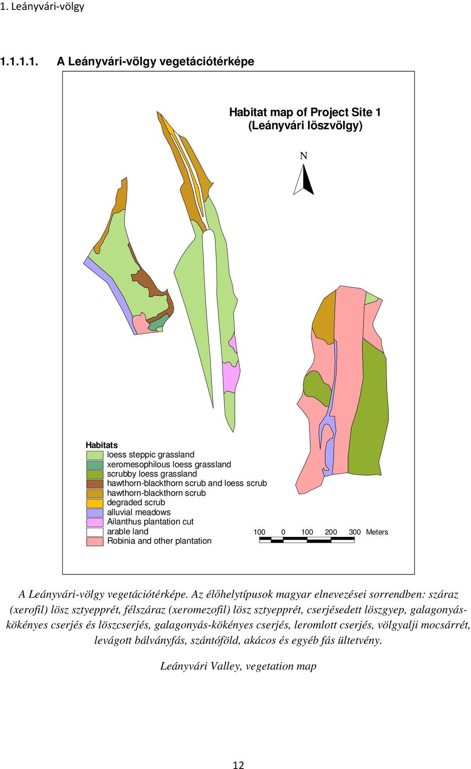plantation A Leányvári-völgy vegetációtérképe.