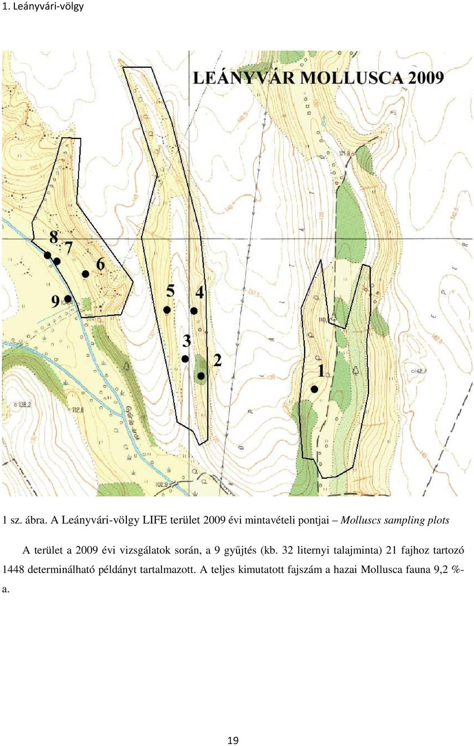 plots A terület a 2009 évi vizsgálatok során, a 9 gyűjtés (kb.