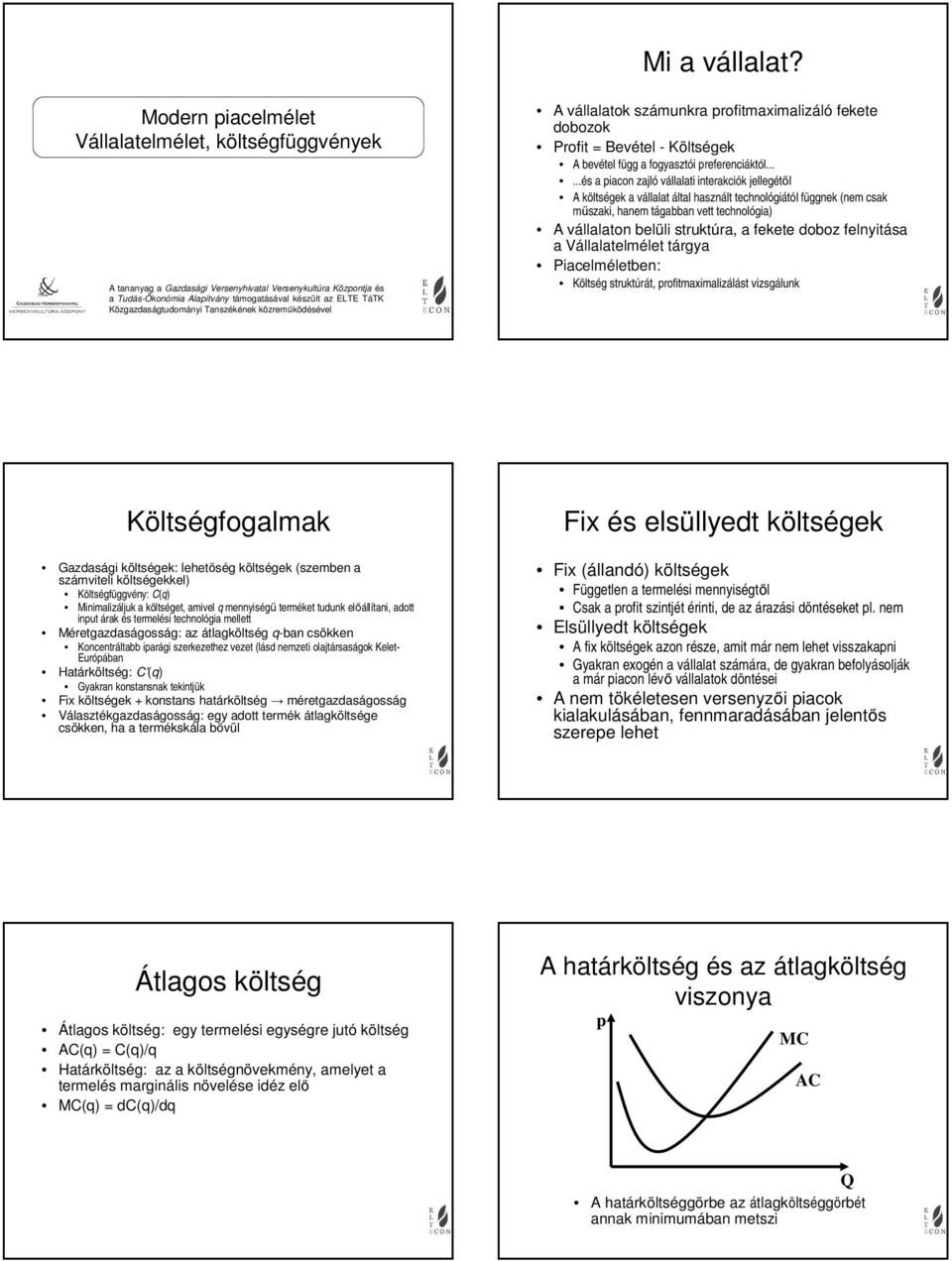 Közgazdaságtudományi Tanszékének közreműködésével A vállalatok számunkra rofitmaximalizáló fekete dobozok Profit Bevétel - Költségek A bevétel függ a fogyasztói referenciáktól.