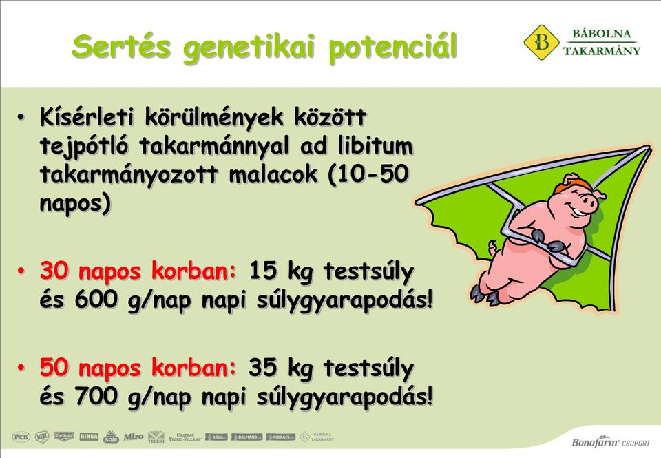 napos korban: 15 kg testsúly és 600 g/nap napi súlygyarapodás!